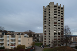 Швейцарские зидлунги: выжившая утопия Швейцарские зидлунги: выжившая утопия