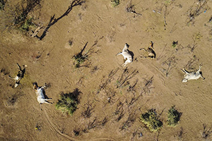 А у вас какой климат? А у вас какой климат?