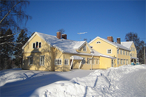 О тайной рецептуре «шведского чуда» О тайной рецептуре «шведского чуда»