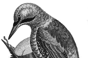 Подземелье Подземелье