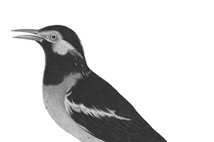 Между страхом и ужасом Между страхом и ужасом