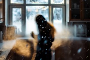 Дневник отчаявшегося: взгляд из России времен войны Дневник отчаявшегося: взгляд из России времен войны