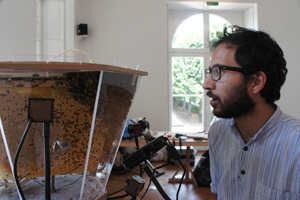 Как говорить с пчелой Как говорить с пчелой