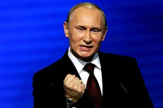 Двушечка. Владимир Путин, документация проекта. 2012–2015