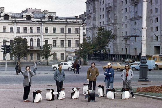 зАиБи (движение «за Анонимное и Бесплатное искусство»). «Пингвины». 1991 г.
