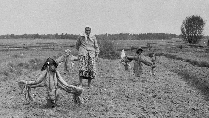 Баба Дуня на огороде. Деревня Усачёво, Каргопольский район, 1985 г.