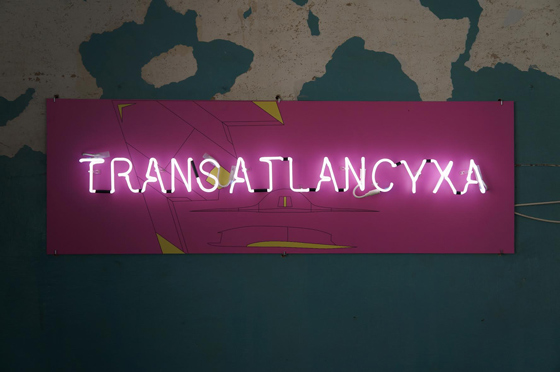 Антонина Баевер. Transatlancyxa. 2016