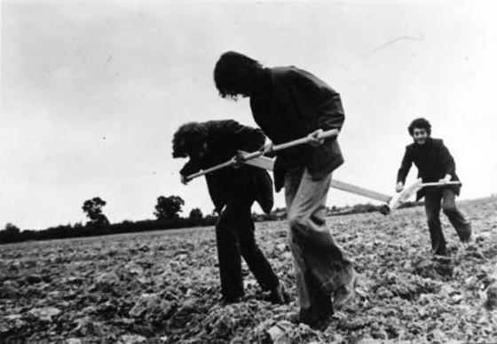 Группа «Гнездо». Помощь стране в выращивании хлеба. Документация акции. 1976