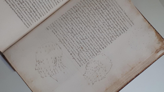 Пьеро делла Франческа. Трактат о перспективе. Начало 1480-х гг. Библиотека Палатина, Парма