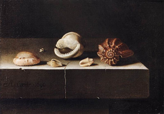 Адриан Коорт. Пять раковин на каменной столешнице. 1696