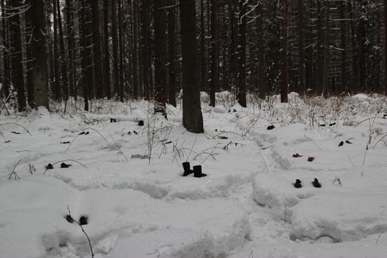 «Манипулятор, перемещение ценностей — 1» (2012). Первая акция в нахабинском лесу, в результате которой более 100 пар ношеной обуви было расставлено под деревьями