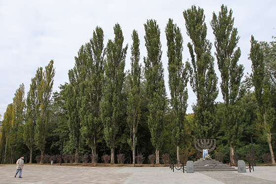 Дорога скорби к памятнику «Менора» в Бабьем Яру, 2016 г.