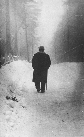 Наум Берковский. Комарово. 1961