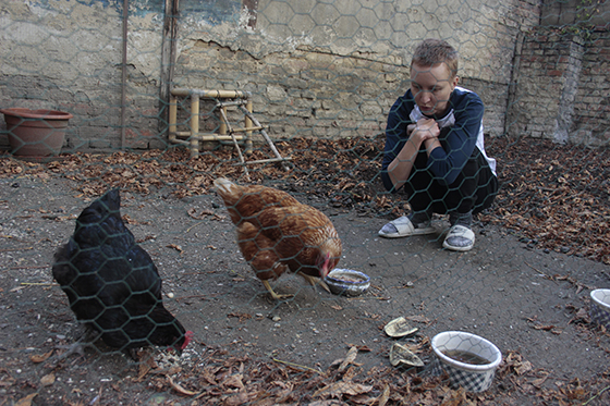 Саша Семенова и курицы