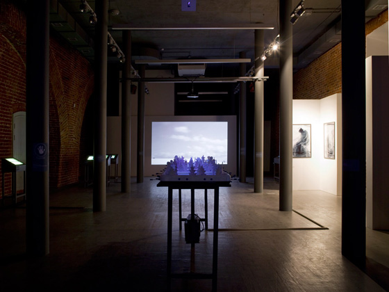 Выставка «Метель» в Арсенале Нижегородского Кремля, 2011