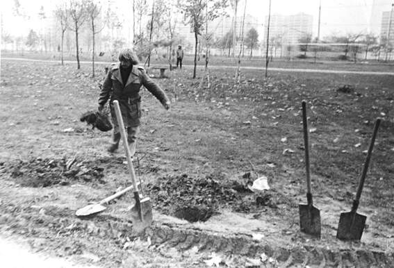 Группа «ТОТАРТ». «Субботник по закладыванию аллеи авангарда». 1982