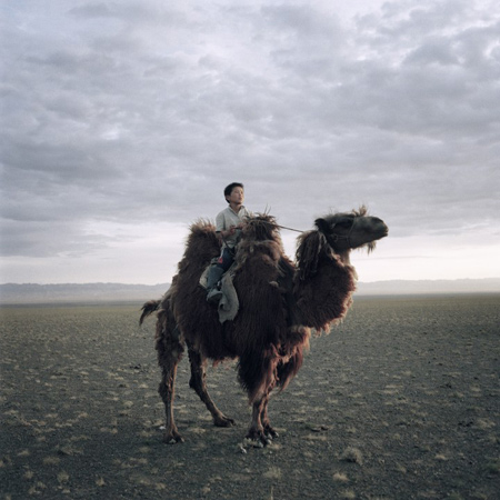 «Mongolia, Black Gold Hotel», Michele Palazzi, Daily Life , 1st prize stories 
