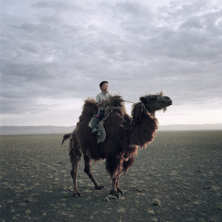 «Mongolia, Black Gold Hotel», Michele Palazzi, Daily Life , 1st prize stories