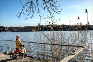 Старость в Швеции: дальше от очевидного, ближе к невероятному