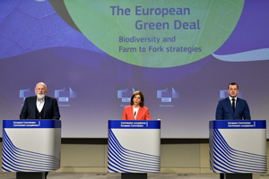 «Зеленый курс» ЕС — это скорое будущее. Где в нем место России?