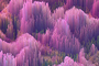 Preview_cover_picture