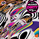 Bigmat_cover_picture